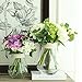 Noah Decoration Hand-Blown and Handmade Hemp Rope Clear Glass Transparent Flower and Filler Vase for Home and Wedding Indoor and Outdoor Decoration Size Medium