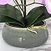 LIVILAN Romantic Lifelike Silk Orchid with Decorative Ceramic Vase,Large Vivid Artificial Flower Arrangement,Potted Orchid Plant,Lavender