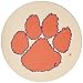 Thirstystone Stoneware Coaster Set, Clemson University