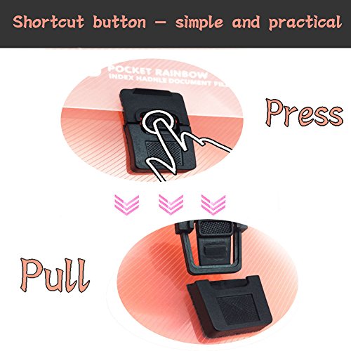 13 Pockets Plastic Expanding Accordion Folders, Letter Size Portable Document Holder, A4 File Organizer - Thumbnail 5