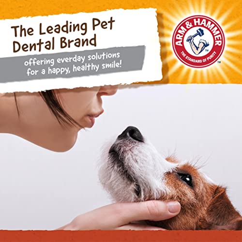 Arm & Hammer Nubbies Dental Toys Classic Bone Dental Chew Toy for Dogs