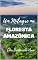 Livro Um Milagre na Floresta Amazônica