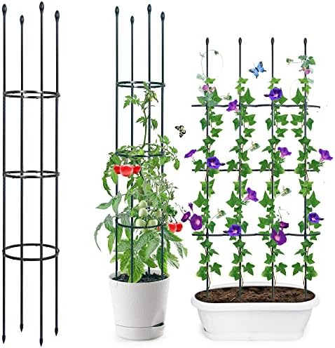 air plant wall holder Mini Air Plant Holder | Fan Air Plant Holder main image 0