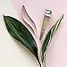 Magisso Cake Server in Stainless Steel #