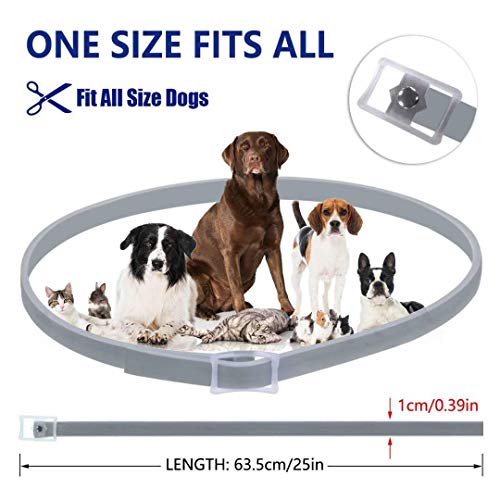 image for Maxtry 2 Pack Flea and Tick Control Adjustable Waterproof Collar Prote