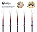 AIT Art Select Micro Detail Brush Set, 5 Miniature Paint Brushes for Fine Detail, Handmade in USA for Trusted Performance, Triangular Handle Design for The Best Grip and Ultimate Precision