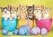 Buffalo Games - Adorable Animals - Kittens in a Cup - 300 Large Piece Jigsaw Puzzle