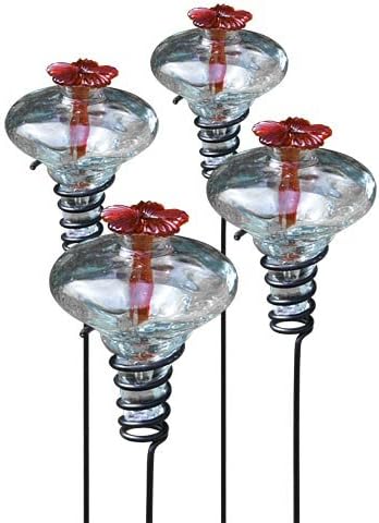 Amazon Com Bestnest Set Of 4 Clear Mini Blossom Hummingbird