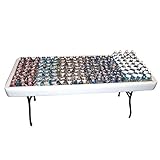 Fill 'N Chill Beer and Food Party Table