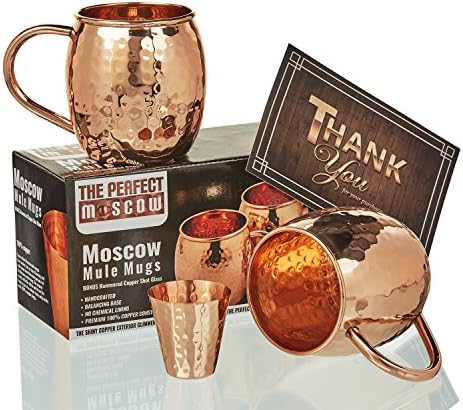 Moscow Mule Copper Mugs - Hammered Design - 100% Copper Mugs "Set of 2" With Free Shot Glass - The Perfect Moscow Beer Mug Gift Set