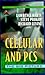 Cellular and PCS : The Big Picture (McGraw-Hill Series on Telecommunications) by 