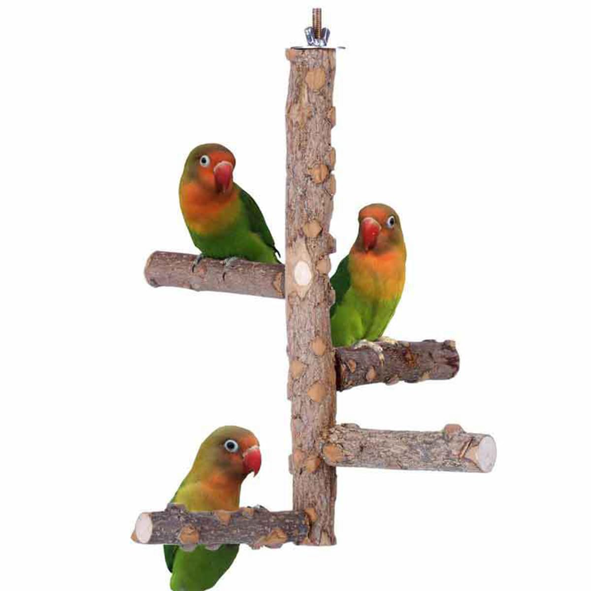 ZYYRSS Perch Bird Natural Wood Stand,Parrot Cage Top Wooden Branches Standing Toys for Small Medium Parrots Conure Budgie Lovebirds