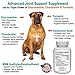 BestLife4Pets Dog Glucosamine Chondroitin and Turmeric Joint Pain Relief Supplement (60 Chews)