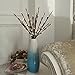 Babali Lighted Twig Branches 20 Inches 100 Led Battery and Electric / Corded Dual Power Brown Wrapped Artificial Willow Warm White Lighting Branch Lights Crafts with Timer