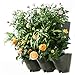Worth Garden 3-Pack Olive Green Self-Watering Vertical Garden Wall Planters