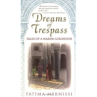 Dreams Of Trespass: Tales Of A Harem Girlhood book cover
