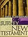 Survey of the New Testament