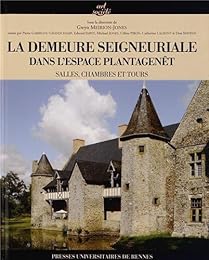La  demeure seigneuriale dans l'espace Plantagenêt