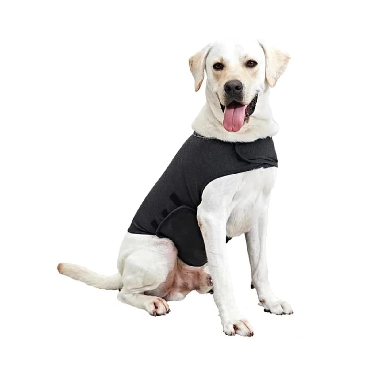 My Furry Friend Dog Anxiety Relief Jacket Coat | Comfortable Calming Wrap | Dogs Puppies Afraid of Fireworks Rain Thunderstorm | New Year's Eve & Bonfire Night Calming Aid | (X-Small, Grey)