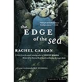 The Edge of the Sea