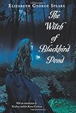 The Witch of Blackbird Pond
