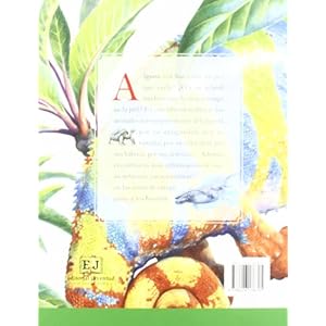 Animales sorprendentes del mundo / Amazing Animals from Around the World (Spanish Edition)