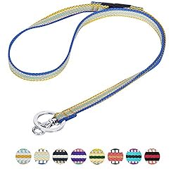 Blueberry Pet 3M Reflective Multi-colored Stripe