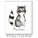 Woodland Animals Poster Prints - Deer Fox Owl Racoon Wall Decor, Nursery Art for Kids Room, Animal Posters For Bedroom, Baby Shower Present Idea, 8