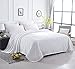 SONORO KATE Fleece Blanket Soft Warm Fuzzy Plush Queen(90-Inch-by-90-Inch) Lightweight Cozy Bed Couch Blanket,Easy Care, Ivory