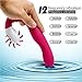 G spot Vibrator-Feelingirl Waterproof Tongue Dildo Vibrators Vagina Clitoris Stimulation with 12 Vibration Modes Dual Motor Anal Sex Toys for Women Rechargeable