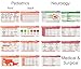 Scrubnotes - Medical Reference ID Badge Cards for Nurses and Doctors - 13 Card Set - Reference sheets