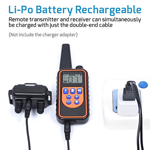 veckle dog training collar