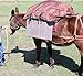 TrailMax Rectangular Style Top Pack & Rain Cover Combo for A Pack Saddle, Ideal for Horse and Mule Packing, PVC Coated to Protect Your Larger Camp Comforts and Valuable Gear in Bad Weather, Brownthumb 3