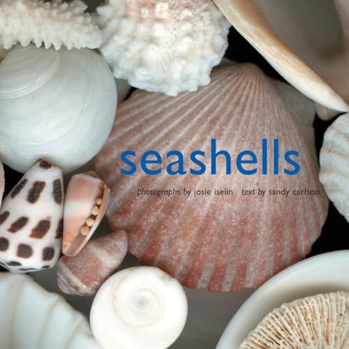 The Encyclopedia of Seashells: Gary Rosenberg: 9780880298230