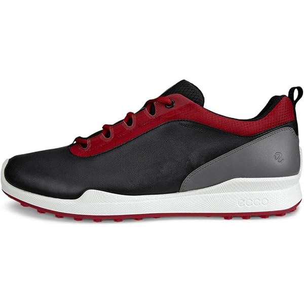 ★ECCO★新品♪ BIOM HYBRID4 BOA EG108504　42 71LSWJsmWWL._SY300_QL65_.jpg