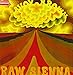 Raw Sienna