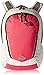 The North Face Women's Vault Backpack