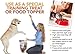Chicken Hearts for Dogs - Freeze Dried Chicken Dog Treats - Natural Taurine, Better than Duck, Turkey - Single Ingredient, Dehydrated Chicken, Grain Free for Pets, Puppy, Cats Training - Made in USA
