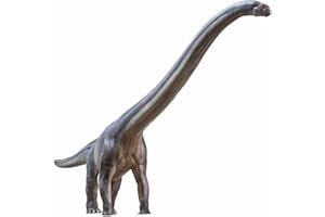 PNSO Dinosaur Museums Series (New ER-MA The Mamenchisaurus 1:45 Scientific Art Models)