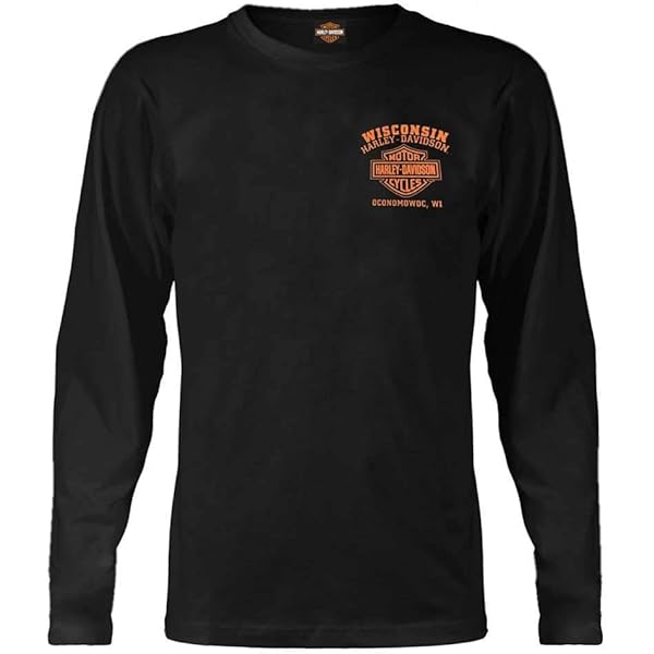 Harley-Davidson Men's Skull Lightning Crest Graphic Long Sleeve