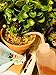 LIHAO 15 Piece Succulent Garden Hand Tools Miniature Fairy Garden Planting Transplanting Tool Set - Improve Your Gardening Quality of Life