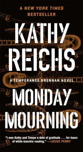 Nothing to Hide (Lucy Kincaid Novels, 15): Brennan, Allison