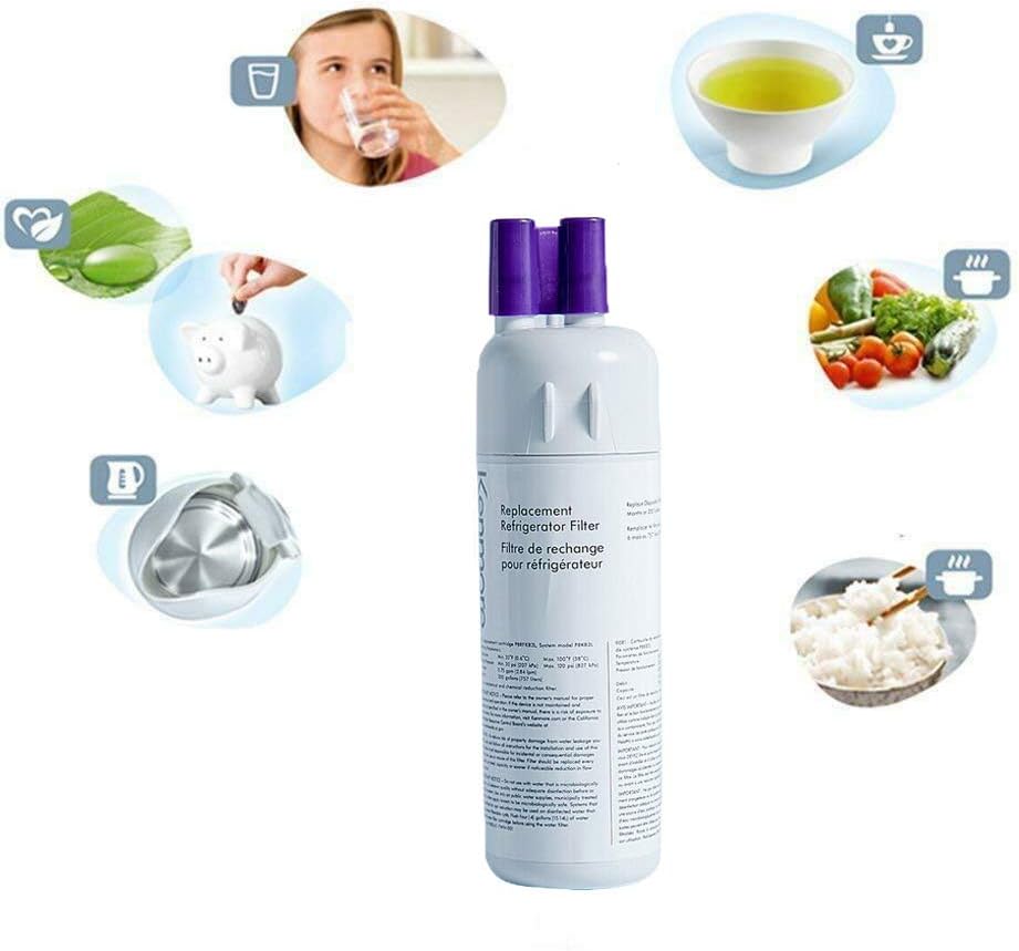 Kenmore Refrigerator Replacement 1, ,9930,9081 Water Filter, White, (2 PACKS): Kitchen & Dining