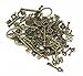 IBS 100 Gram Mixed Antique Skeleton Keys Charms Pendants for Craft Necklace Jewelry Making (Bronze)