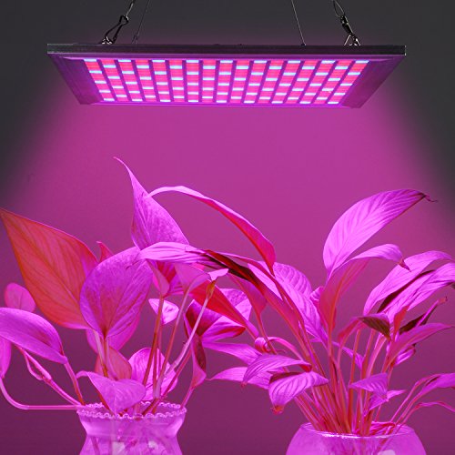 Top 10 Best Waterproof LED Grow Lights Reviews 20192020 on Flipboard by LED Fixtures