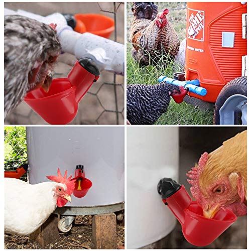 5 Stücke Automatische Huhn Trinkbrunnen Geflügel Bewässerung Tassen Schalen Dispenser Rot Kunststoff Hinterhöfe Huhn Flock Ente Vogel Wasser Feeder für Tauben Wachtel Henne Truthähne Gänse (25 mm) – Bild 4