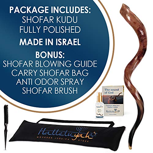 HalleluYAH Shofar Set 35" 39" Fully Polished Kudu Horn Yemenite