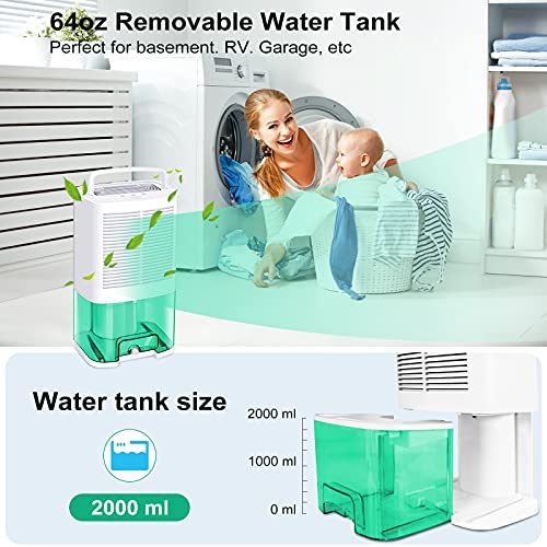 MADETEC Upgraded Dehumidifiers for Home (480 Sq.ft), Small Portable Dehumidifier with Drain Hose and 64oz Water Tank , Ideal for Basements Bedroom Bathroom Closet Kitchen RV