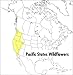 A Field Guide to Pacific States Wildflowers: Washington, Oregon, California and Adjacent Areas (Peterson Field Guide)