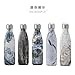 S'well Stainless Steel Water Bottle - 17 Fl Oz - Labradorite - Triple-Layered Vacuum-Insulated Containers Keeps Drinks Cold for 41 Hours and Hot for 18 - with No Condensation - BPA Free Water Bottle